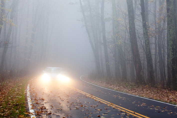 Expertentipp: Augen auf im Herbst: Sicher unterwegs mit dem Auto