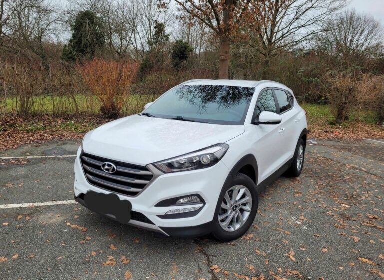 Schritt-für-Schritt-Anleitung zum Nachschneiden von Wischerblättern