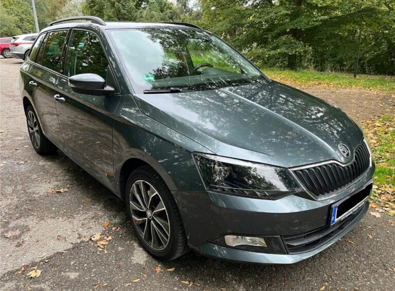 Die besten Tipps zur effizienten Steinschlagreparatur an Fahrzeugscheiben