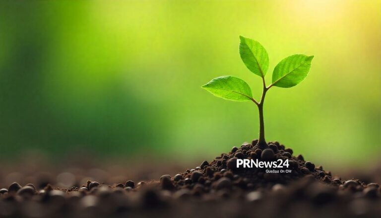 Analyse von PR-Kampagnen: Erfolgsfaktoren für B2B-Unternehmen